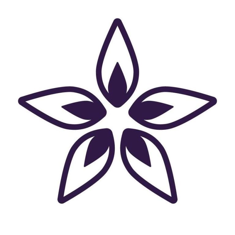 Logo for the Women's Network